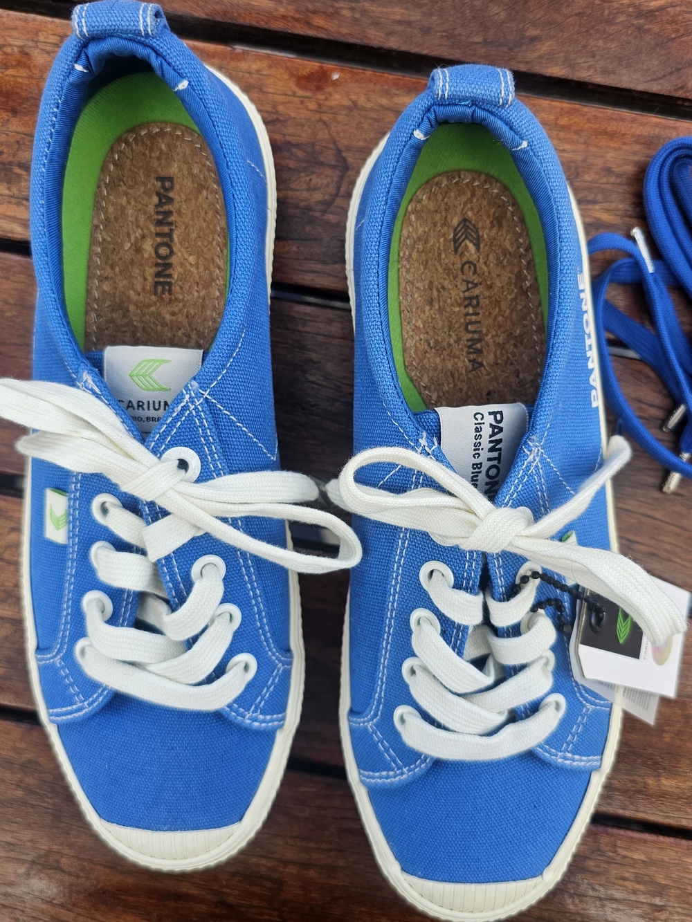 Cariuma Womens Canvas Sneaker in Bright Blue with White Laces